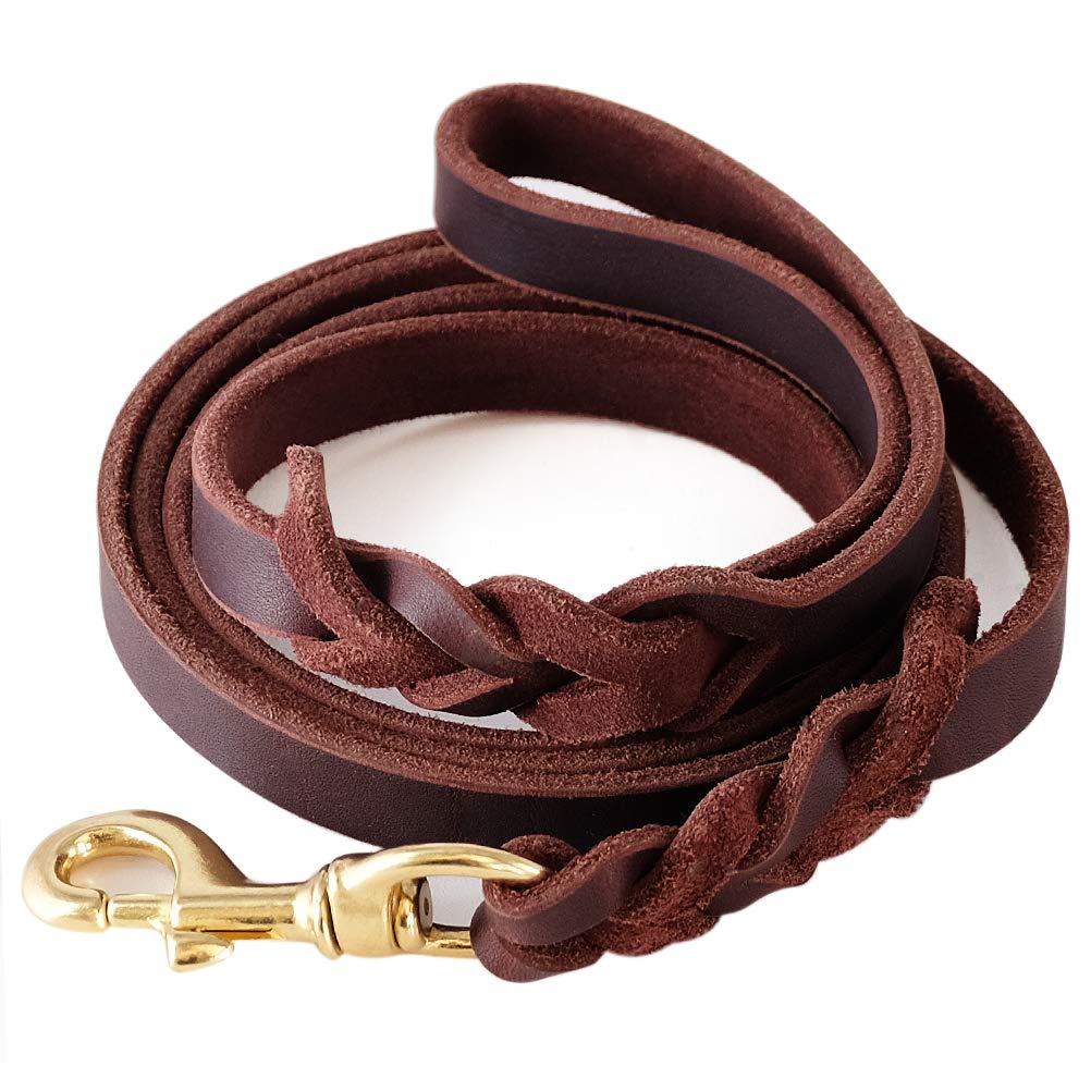 Leather Dog Leash 6 ft Leather Dog Training Leash Pet Braided Dog Leas –  PETOLY