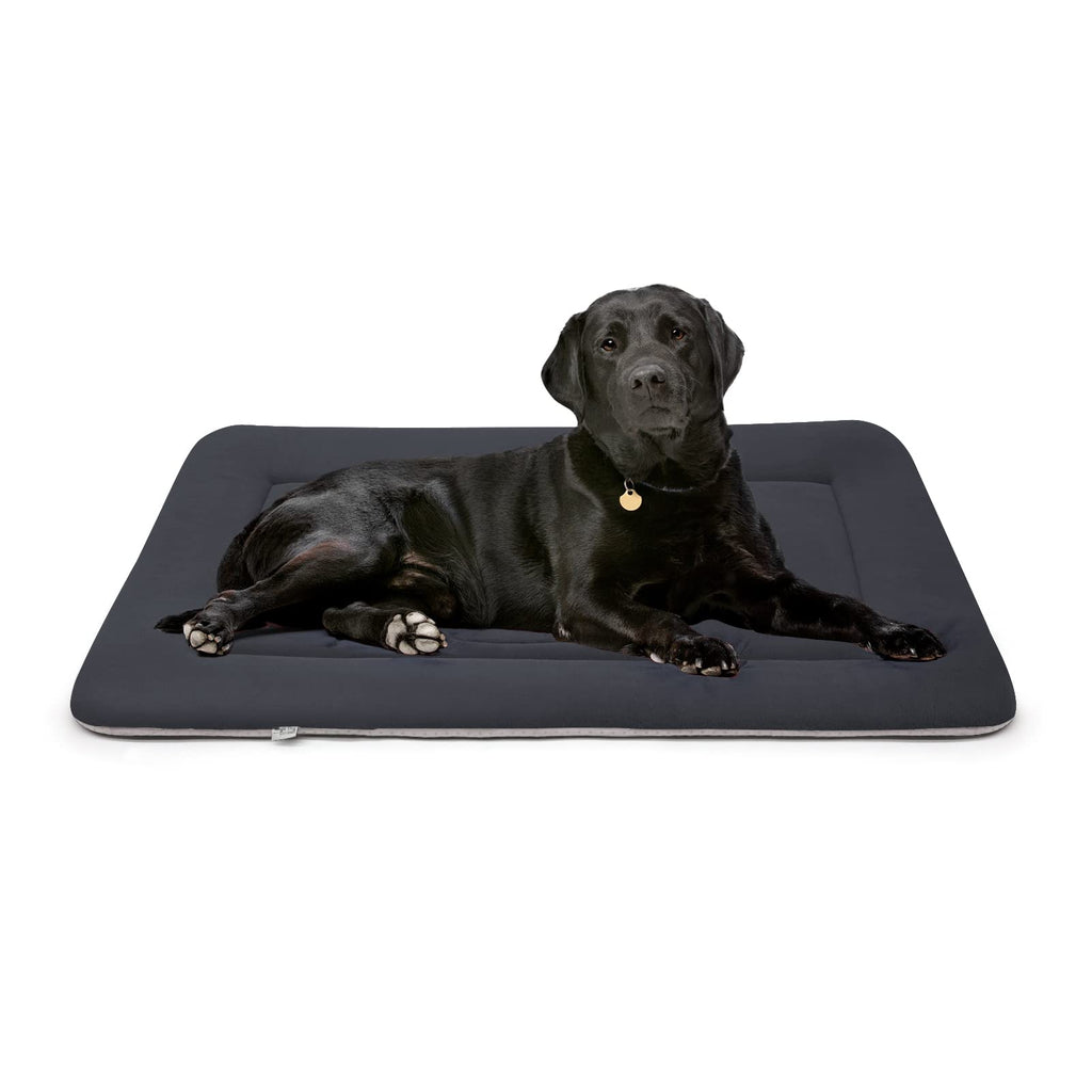 Extra large outlet dog mats