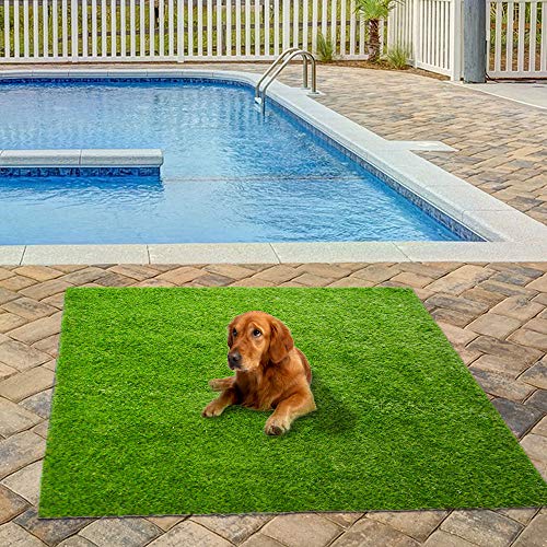 Extra large outlet dog grass pad