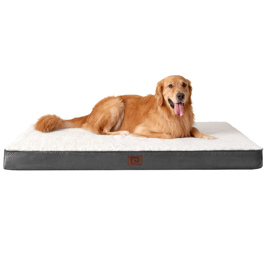 Xl dog bed hot sale with removable cover