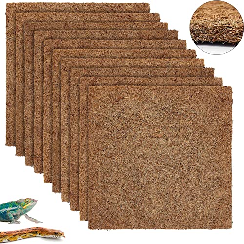 Coconut fiber substrate for bearded outlet dragons