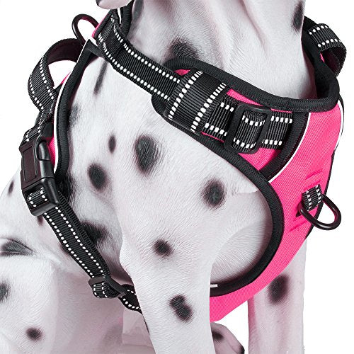 Dog hotsell pink harness