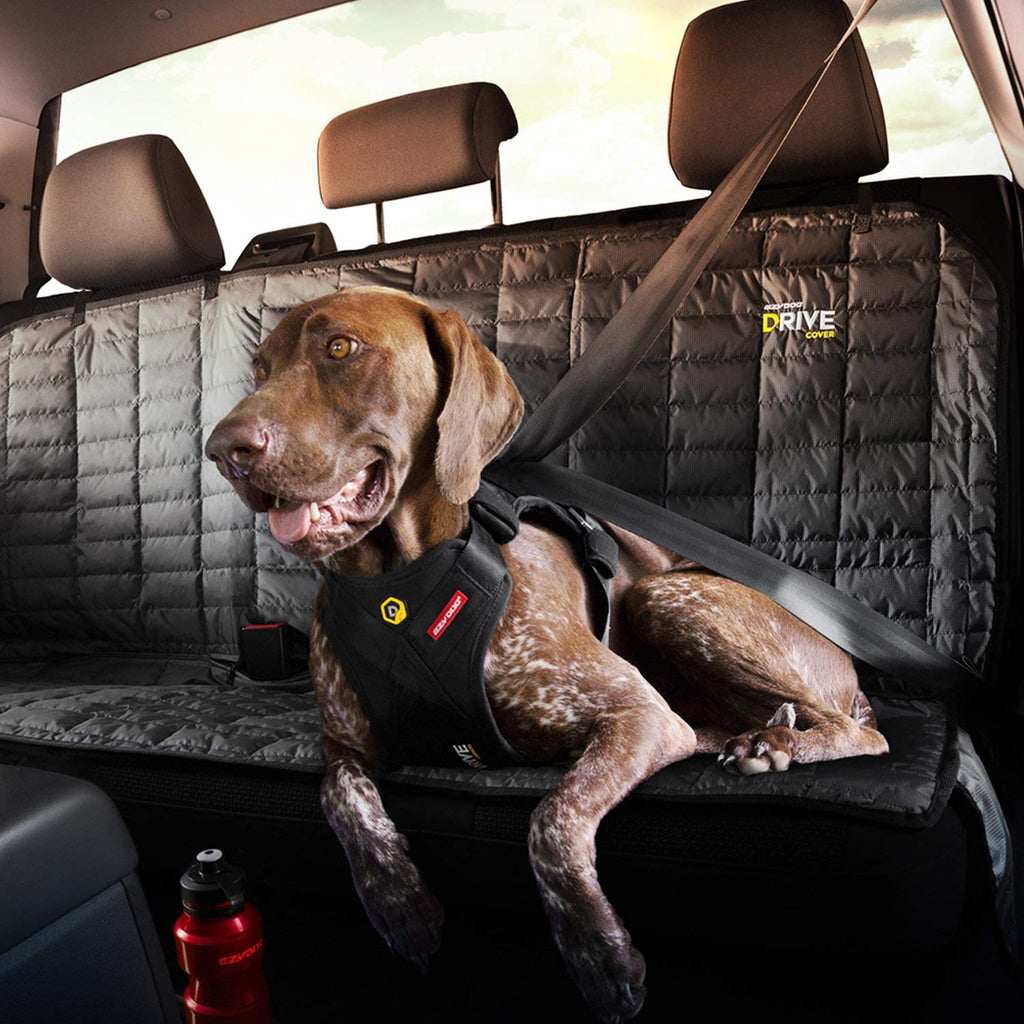EzyDog Drive Dog Car Harness