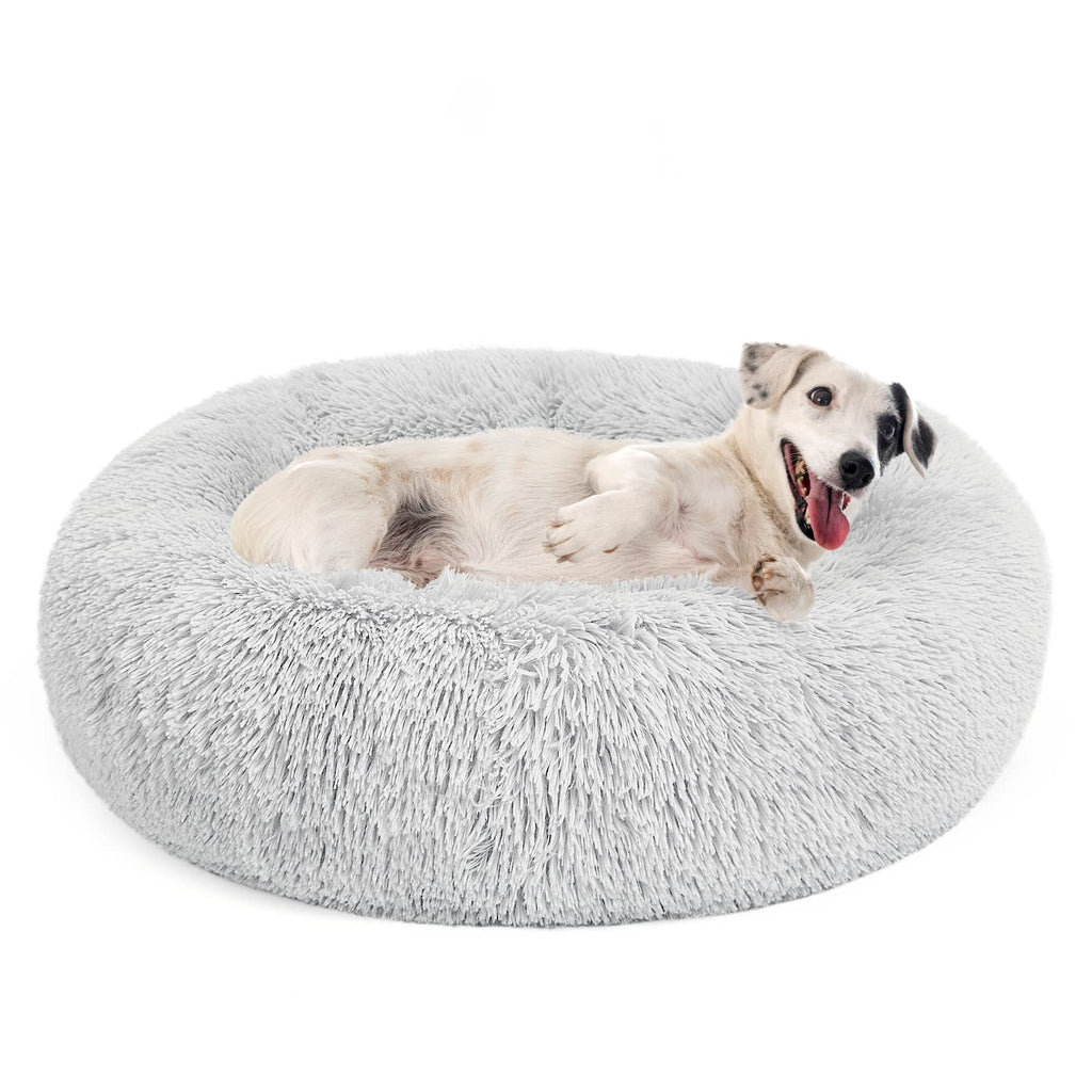 Oval orthopedic dog outlet bed