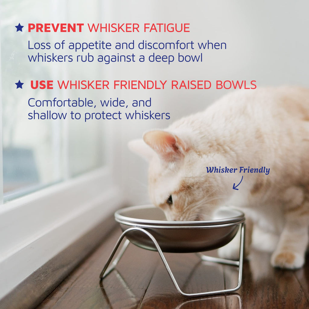 Americat Company: Elevated Stand with Cat Bowl