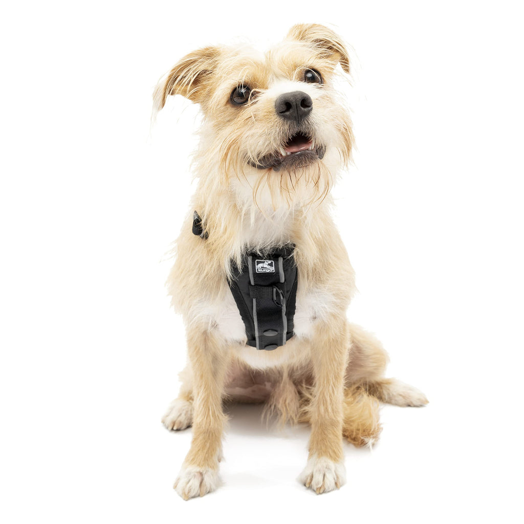 Kurgo no pull dog 2024 harness