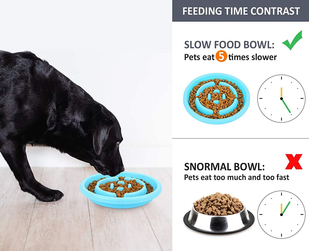 Pecute Dog Bowls Slow Feeder Bloat Stop Pet Bowl Eco-Friendly Non