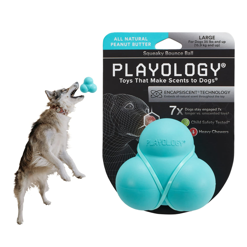 Playology Squeaky Bounce Ball Peanut Butter Scented Dog Toy - Large