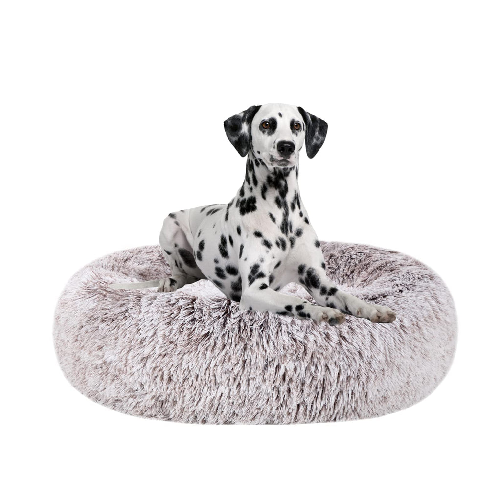 Donut cuddler hotsell dog bed