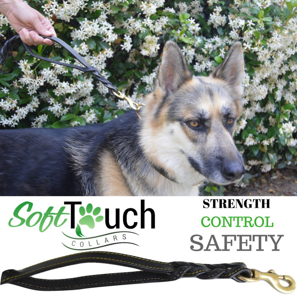 Leather Dog Leash 6 ft Leather Dog Training Leash Pet Braided Dog Leas –  PETOLY