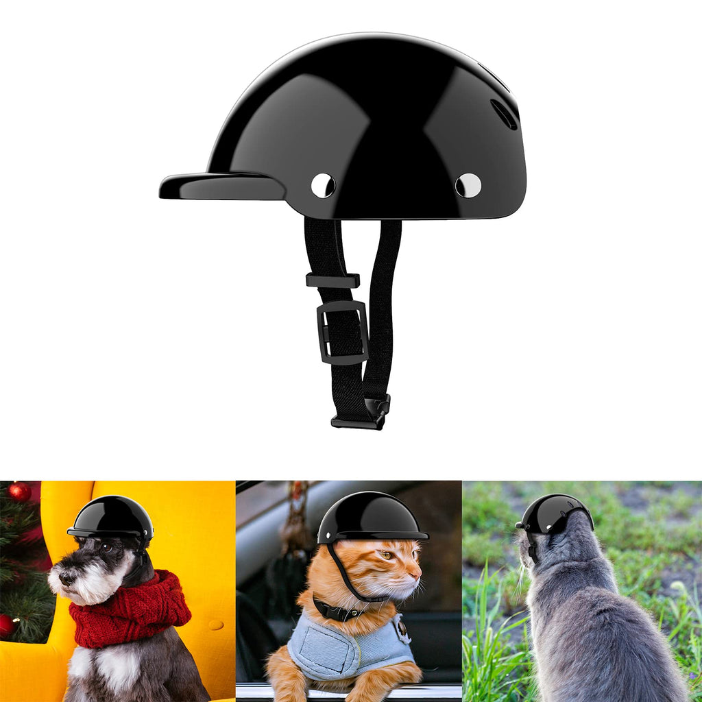 A Helmet For Dogs?! 
