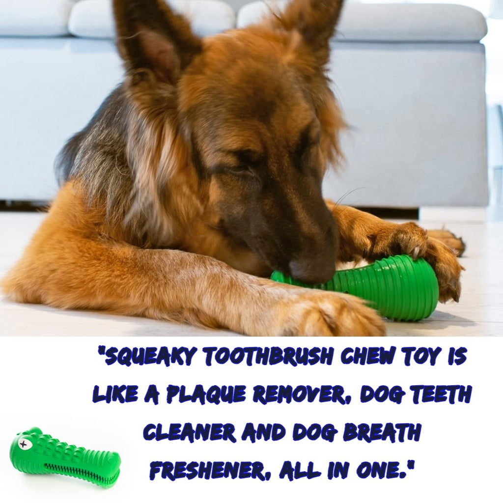 babaZone Total Enrichment & Fun - Interactive Toys and Puzzles for Dogs Who  Love to Lick Sniff Chew and Play - for Medium/Large Dogs