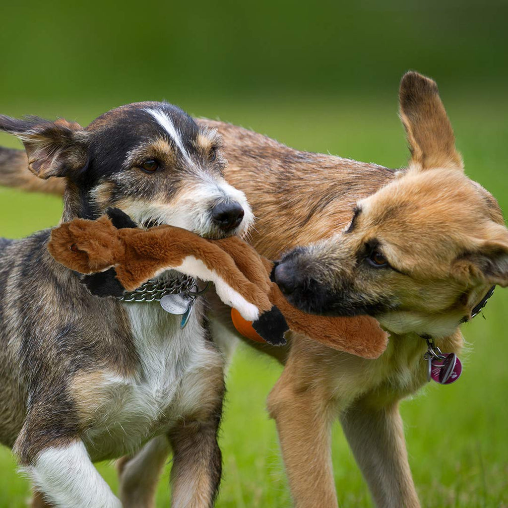 PDTO Stuffingless Dog Toy, Stuffing Free Dog Chew Toys Set with Squirrel  Raccoon and Fox Squeaky Plush Dog Toys for Small and Medium Dogs - 3 Packs