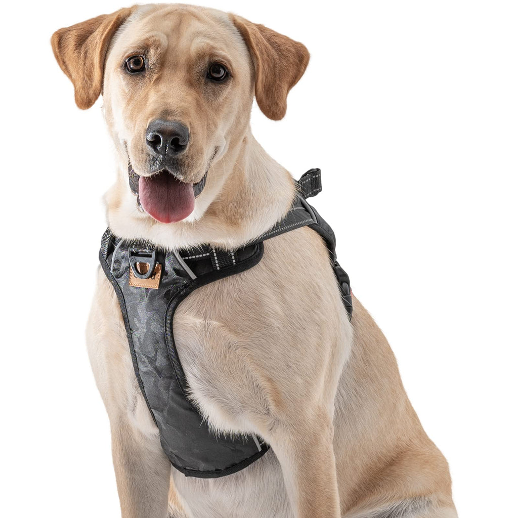  Gliard Dog Harness, No Pull Dog Harness Pet with 2