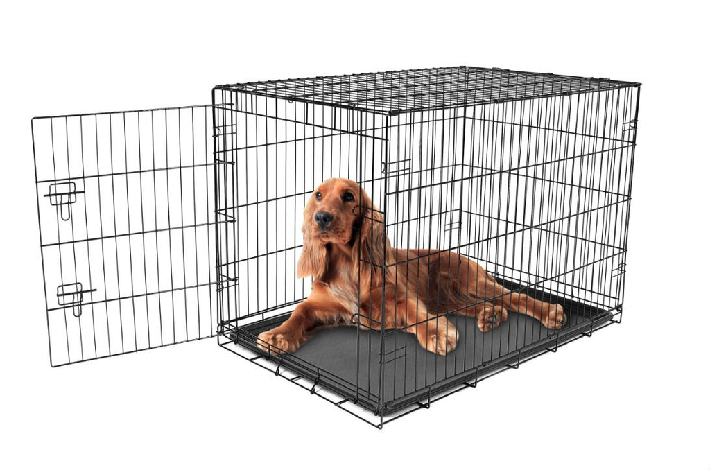 Intermediate dog clearance crate