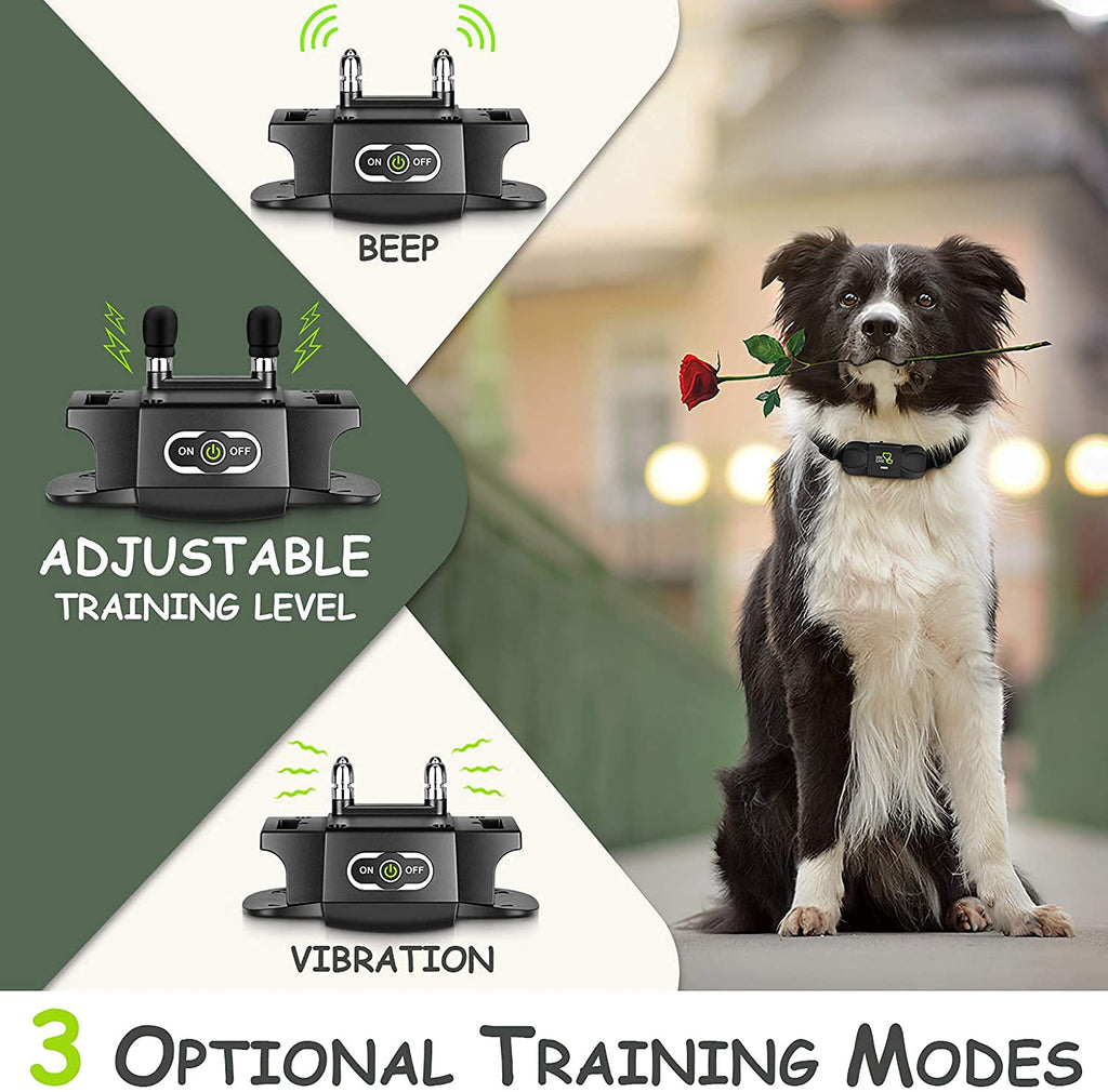 Pet care clearance dog training collar