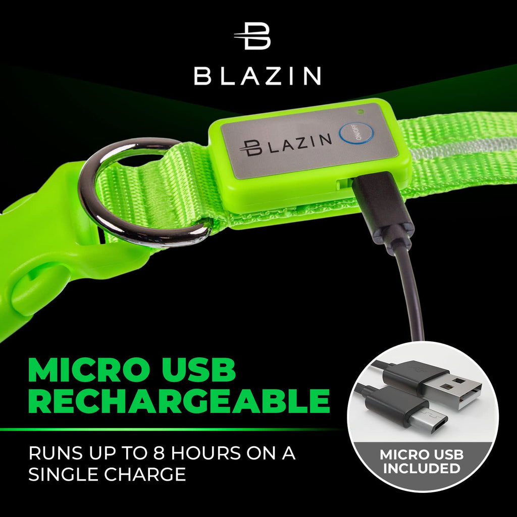 Blazin safety outlet led dog collar