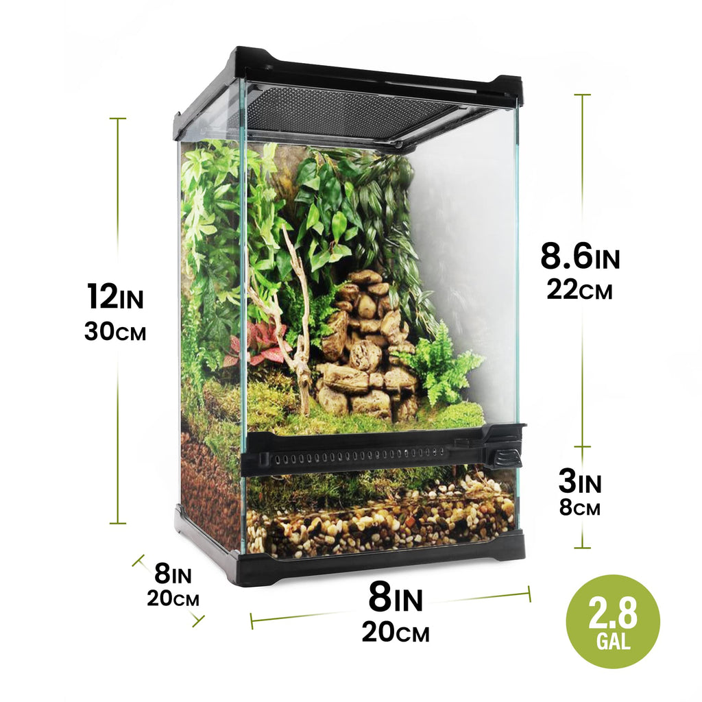 Reptile Terrarium Thermometer Hygrometer Dual Gauges Pet Rearing Box - Live  Hermit Crab