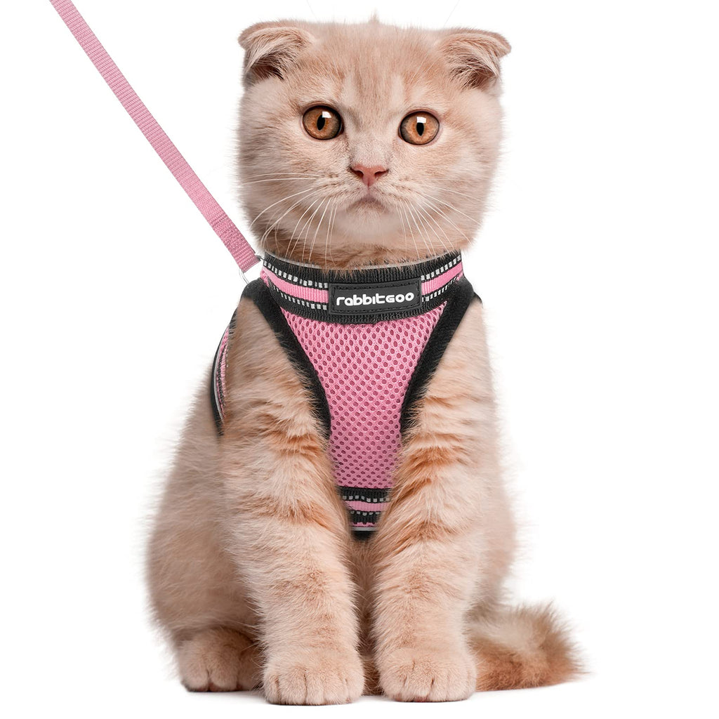 Rabbitgoo Adjustable Cat Harness and Leash Set –