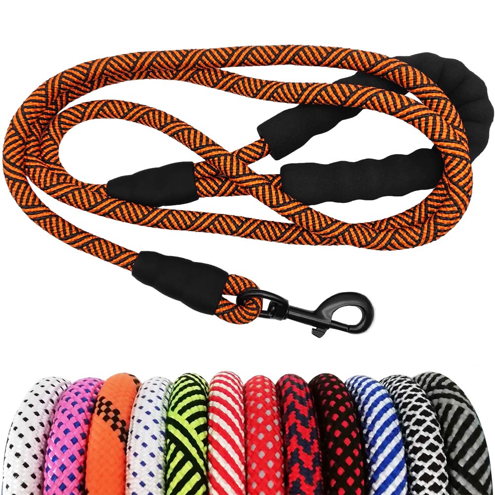 10 foot store rope dog leash