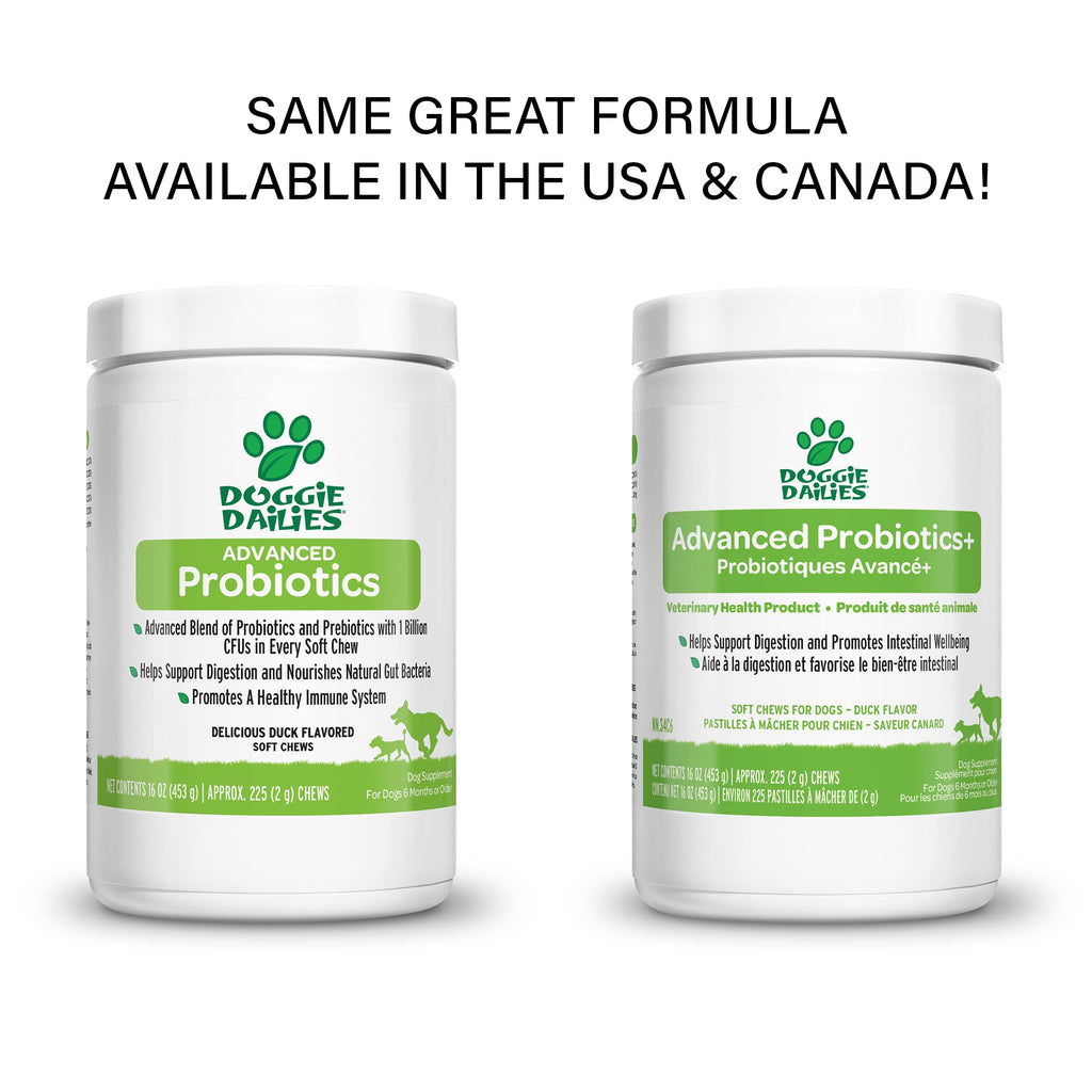 Doggie dailies on sale probiotics for dogs