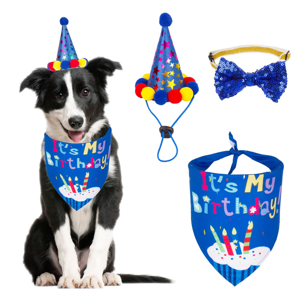 Dog birthday store hat and bandana