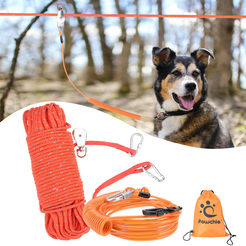 Camping dog hotsell tie out