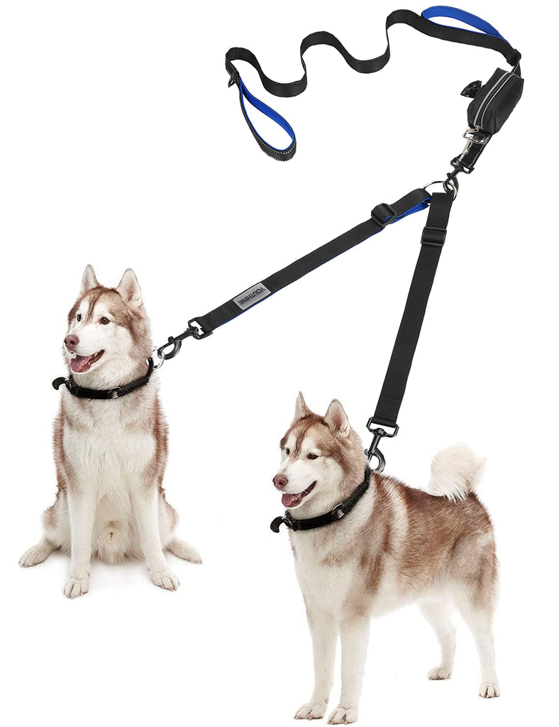 Two dog leash outlet coupler