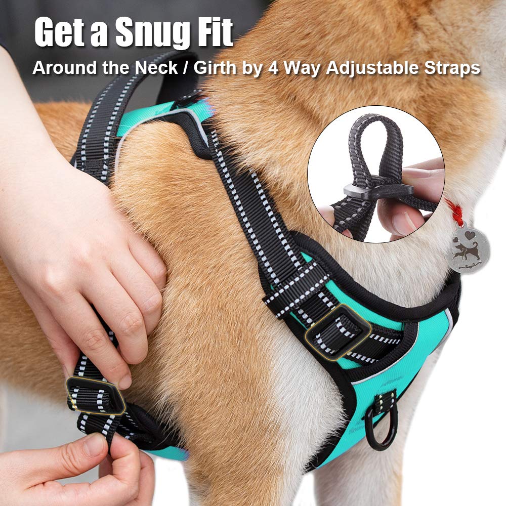 Poypet no best sale pull harness