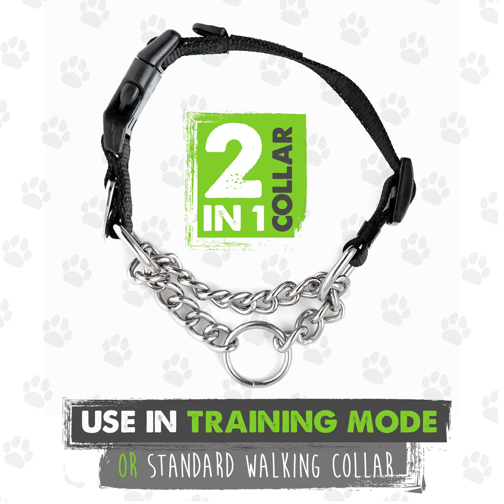 Mighty paw martingale on sale dog training collar