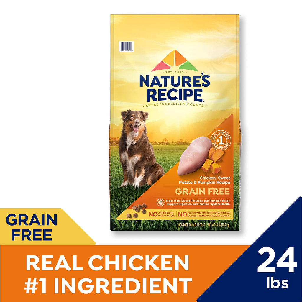 Grain free easy 2025 to digest dog food