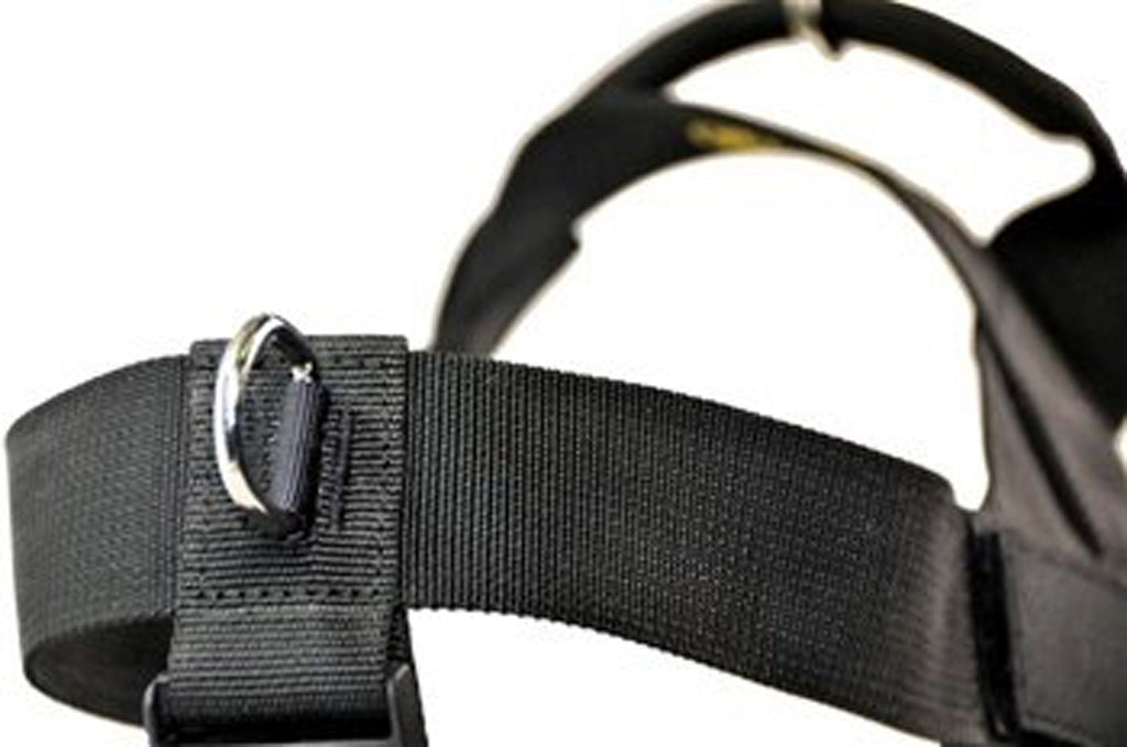 Dean and tyler top dog harness