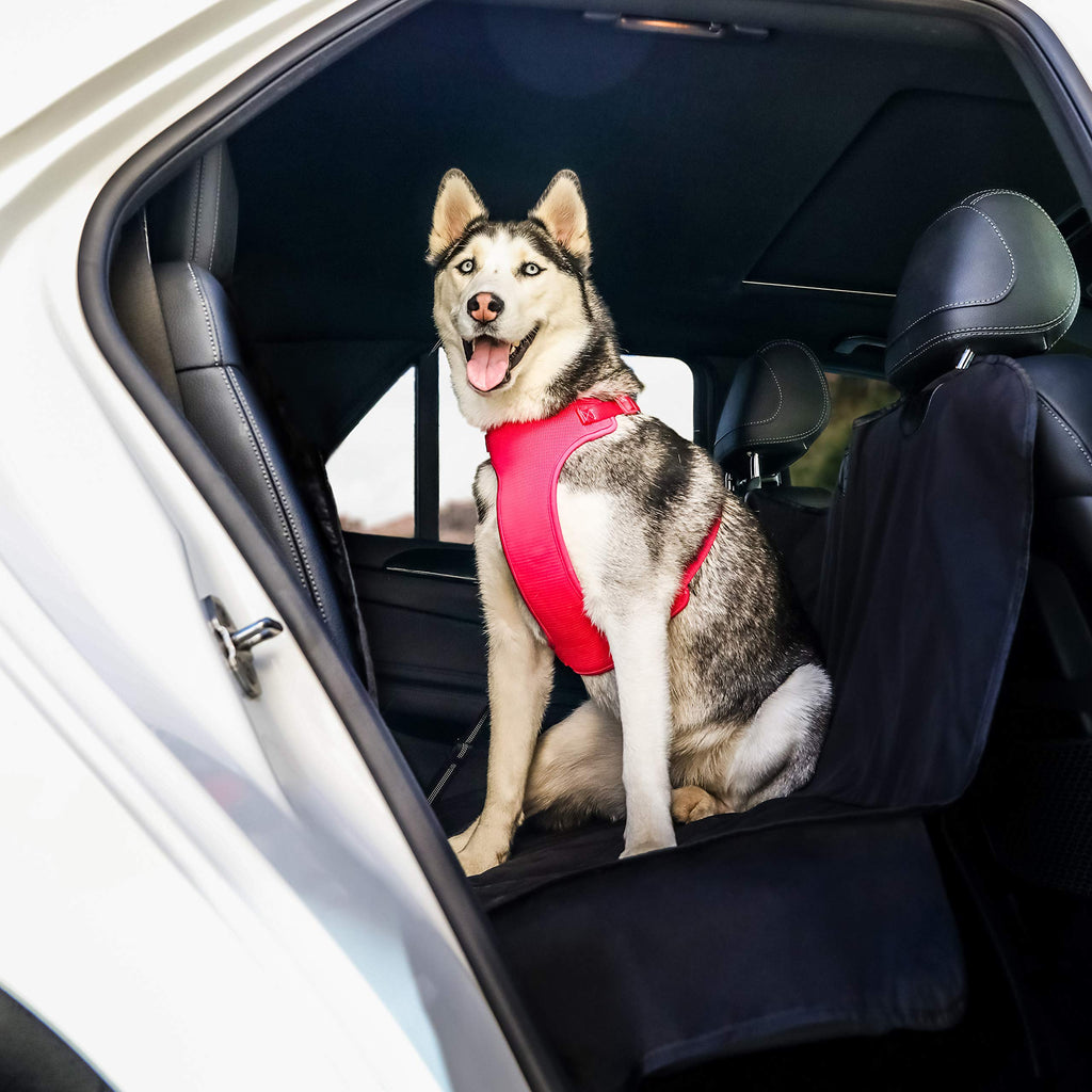 Barksbar front seat cover best sale