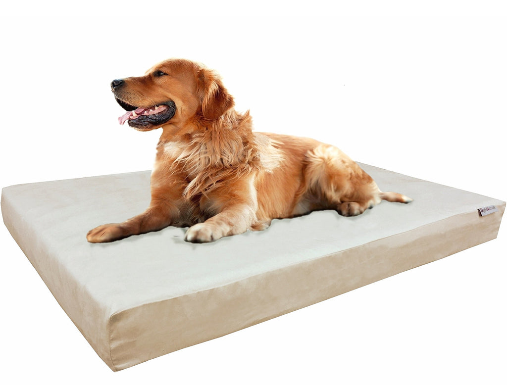 Dogbed4less orthopedic shredded hotsell memory foam dog bed