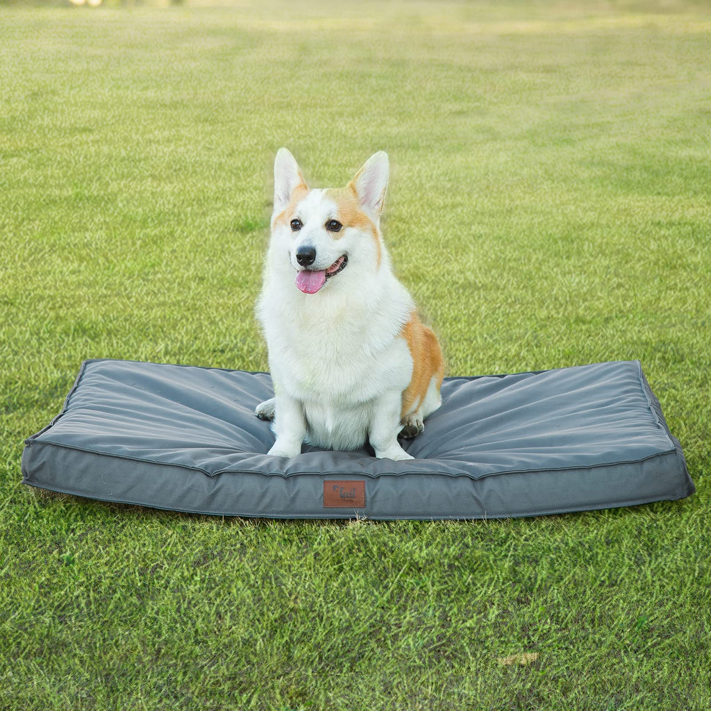 Tail Stories Outdoor All Weather Dog Bed Waterproof Dog Bed for