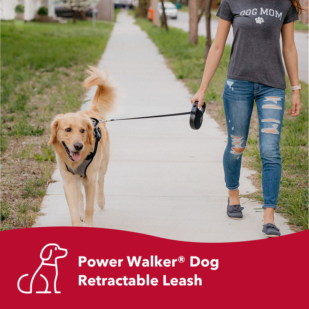 Power Leash