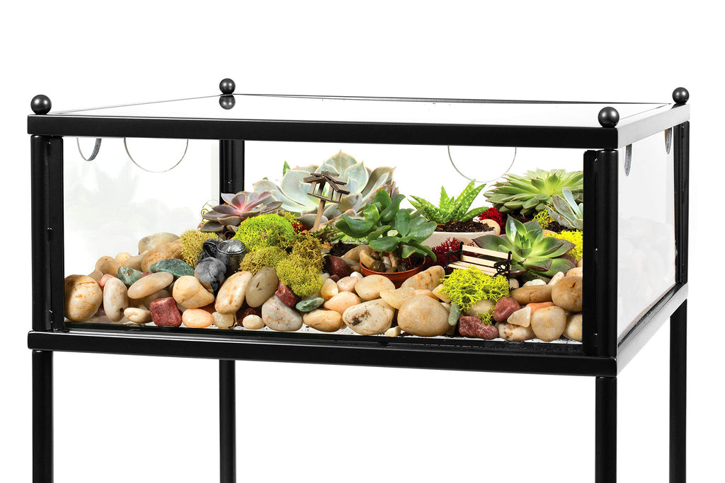 Square Terrarium Display End Table with Reinforced Glass in Black Iron- 18