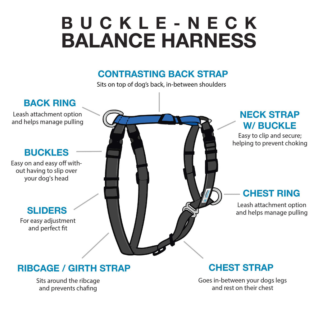 Blue 9 deals balance harness