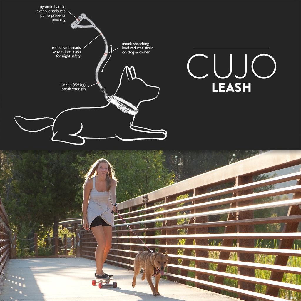 Ezydog 2024 cujo lead