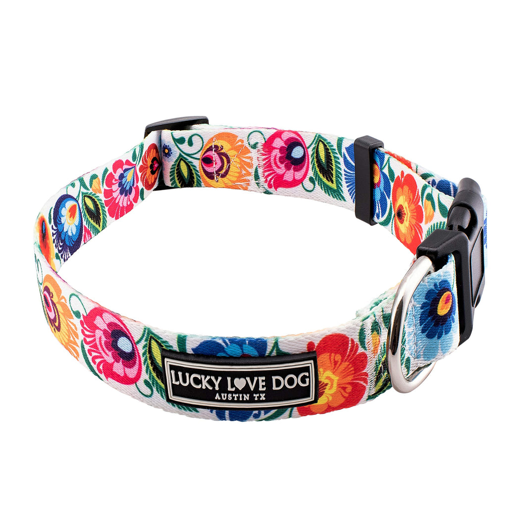 Lucky Love Dog Collars  Vivid Floral Dog Collar - Girl Dog Collar for –  PETOLY