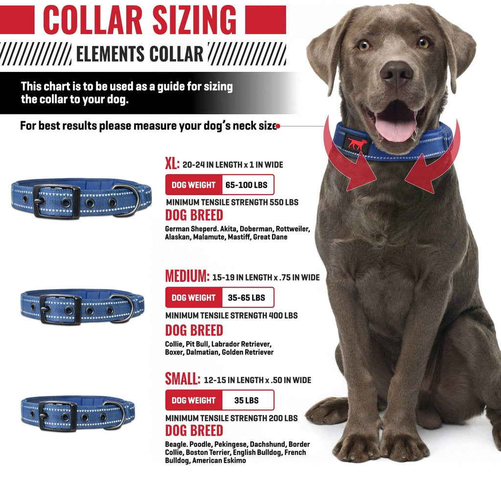 Nylon Dog Collar Heavy Duty Padded Double Prong - 2 (5cm) - Steel Gre -  Pit Bull Gear
