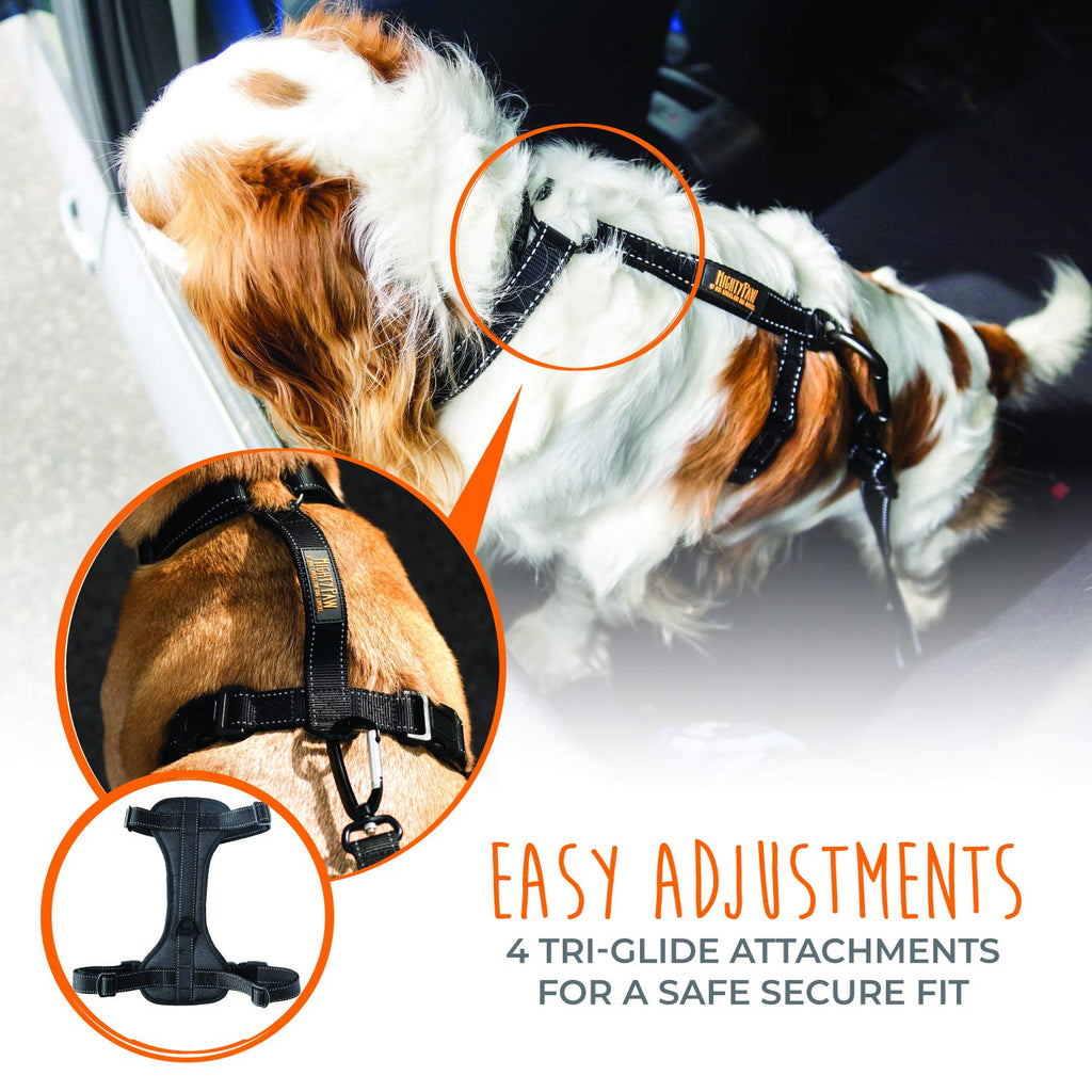 Mighty paw clearance harness