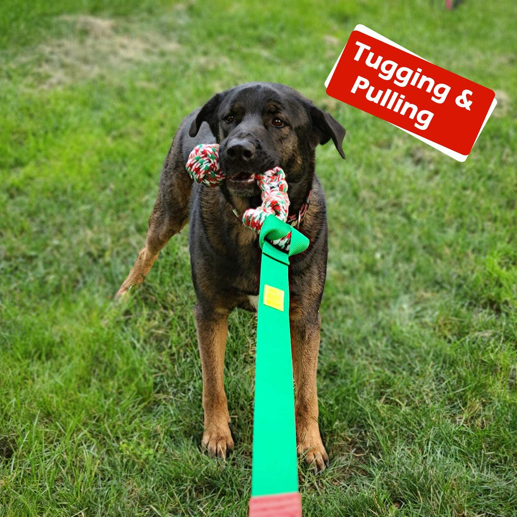 Pitbull clearance hanging toy