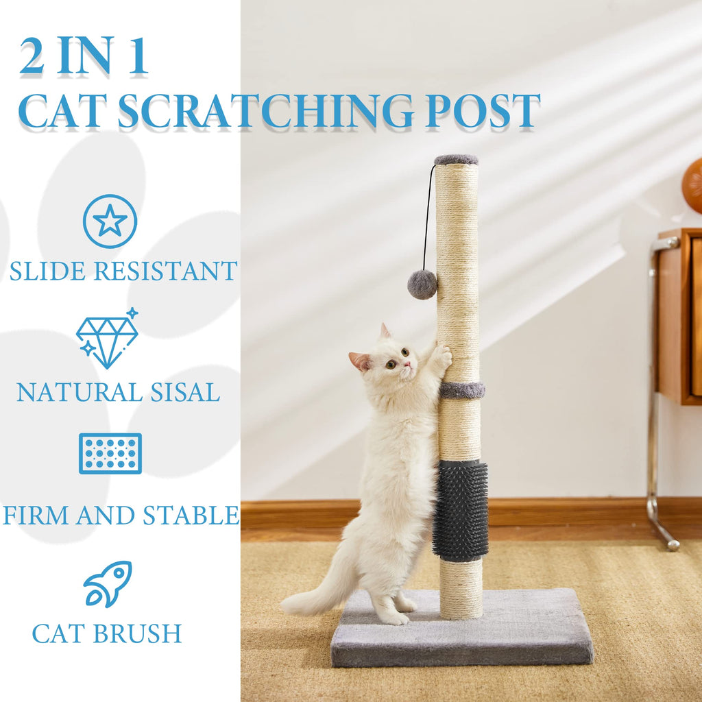 Cat brush outlet post