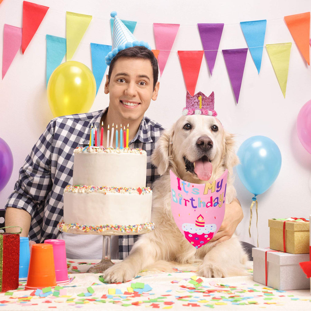 Dog first store birthday bandana