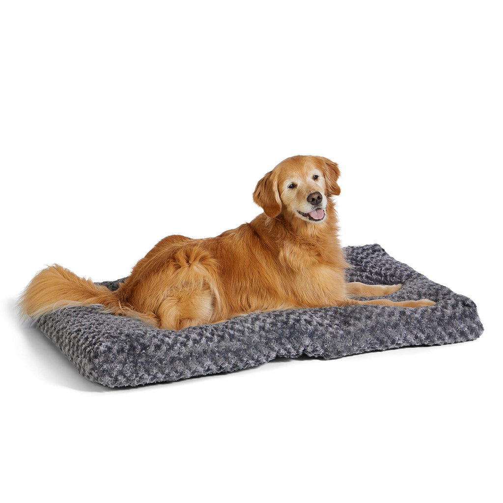 Amazonbasics dog outlet bed