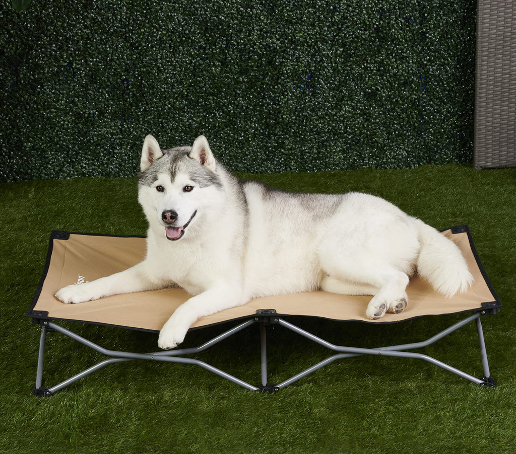 Carlson pet products portable best sale pup travel pet bed