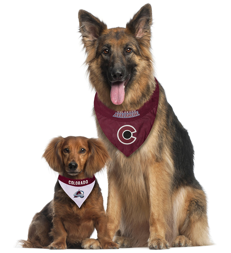 Pet First, Dog, Dog Collar Browns With Bandanna