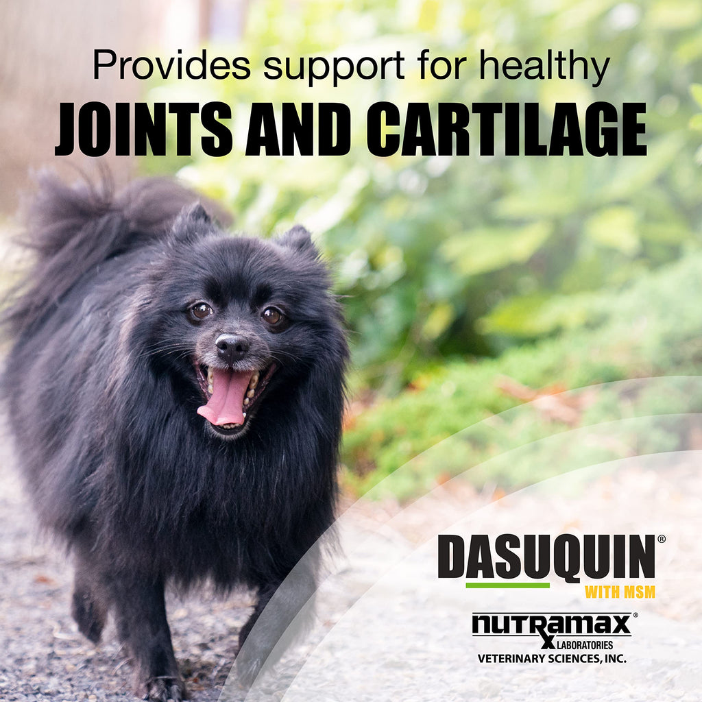 Dasuquin with msm hotsell soft chews for dogs