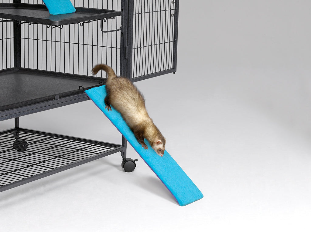 Midwest homes for pets best sale ferret nation